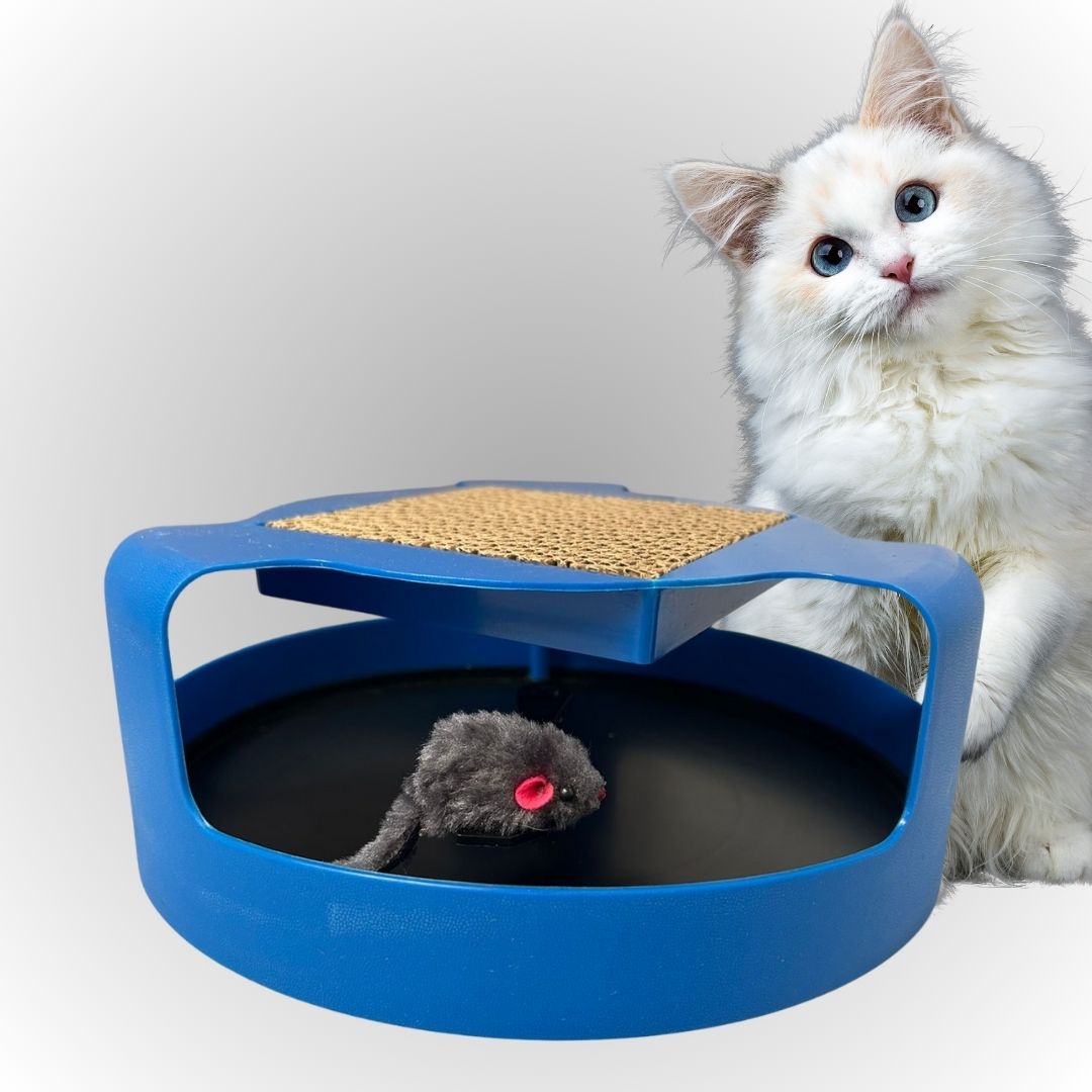 JUGUETE CAT AND MOUSE
