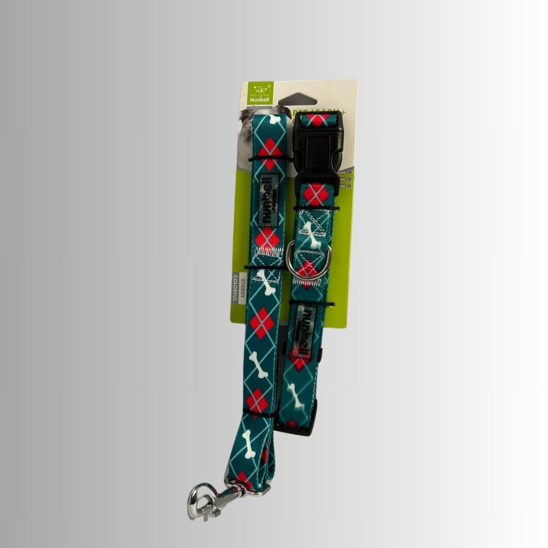 Set collar + correa