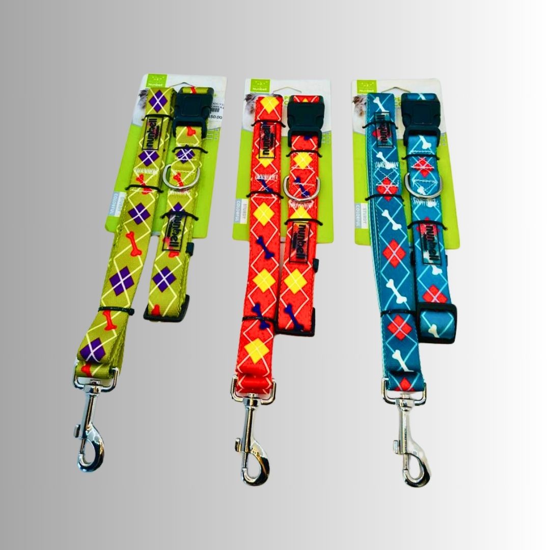 Set collar + correa