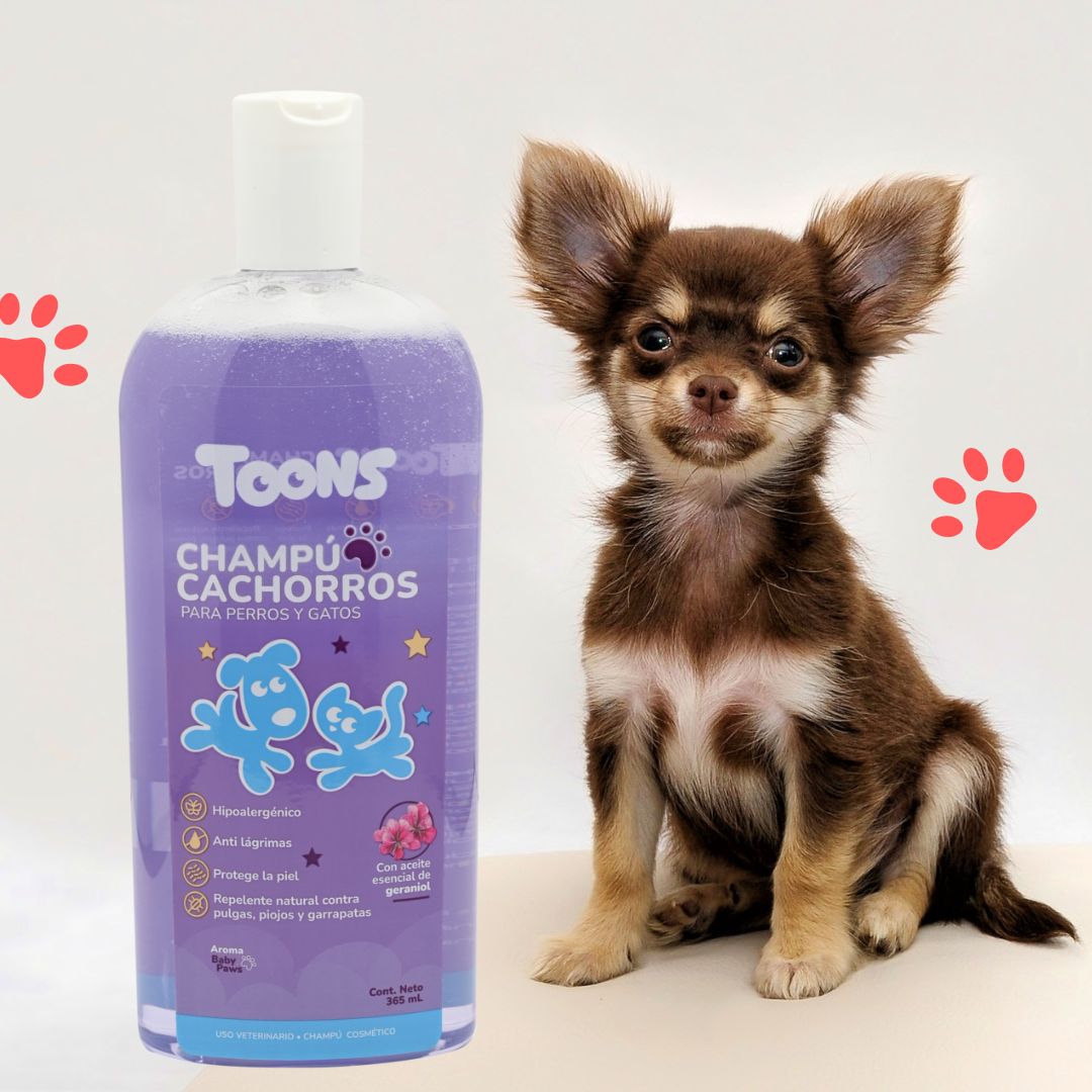 ChampĂș Toons para Cachorros 365 ML